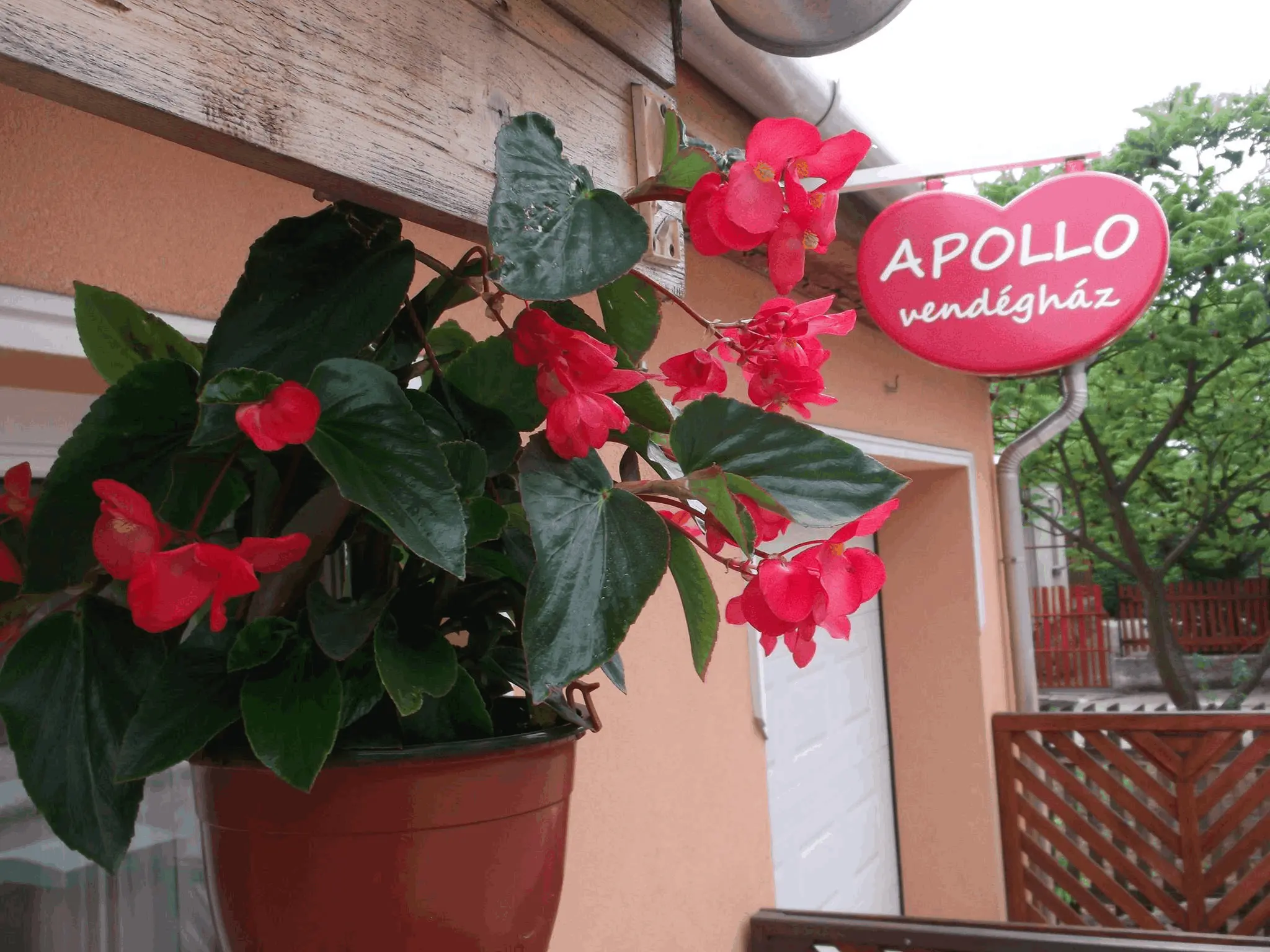 Apollo vendégház